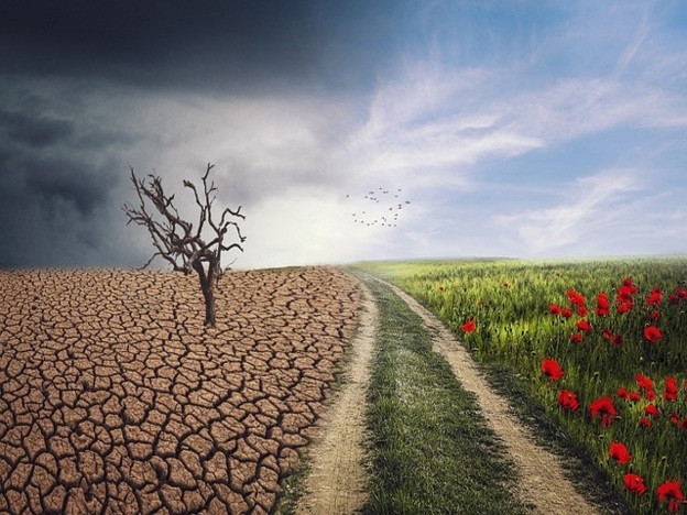 Climate Resilience and Environmental Sustainability